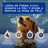 Douxo Skin & Coat Spa Shampoo für Hunde gegen Schuppenbildung, 250 ml
