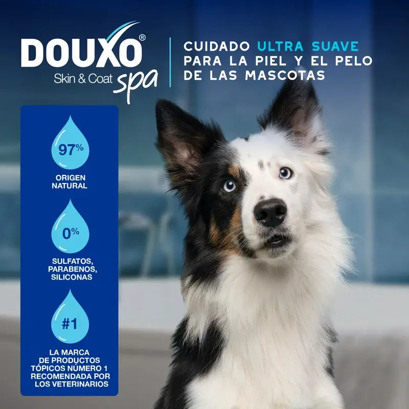 Douxo Skin & Coat Spa Ultra sanfter Express-Reinigungsschaum, 150 ml
