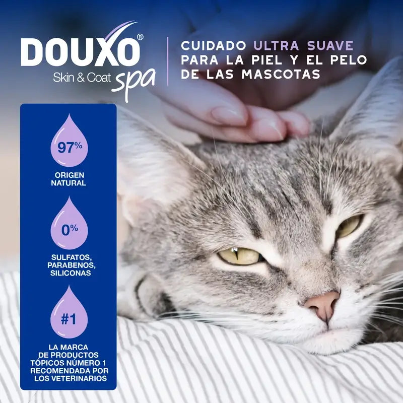 Douxo Skin & Coat Spa Ultra Sanfte Reinigung für die stressfreie Reinigung von Katzen, 150 ml