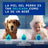 Douxo Skin & Coat Spa Multi-Action-Anti-Geruchs-Spray für Hunde, 340 ml