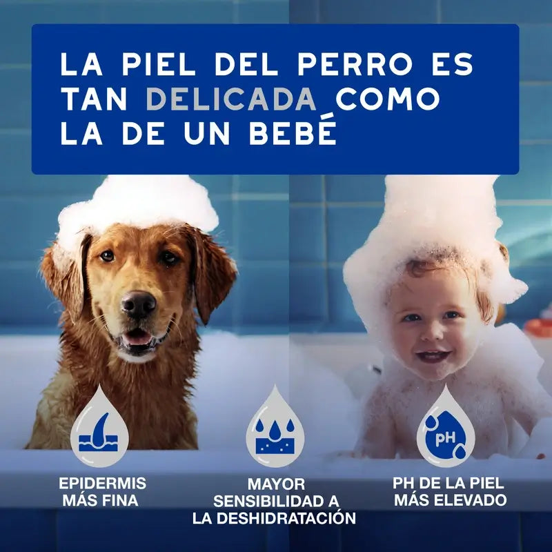 Douxo Skin & Coat Spa Mehrzwecktücher für Hunde und Katzen, 100 Stück.