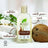 Dr.Organic Kokosnussöl Shampoo für dickes oder lockiges Haar, 265 ml
