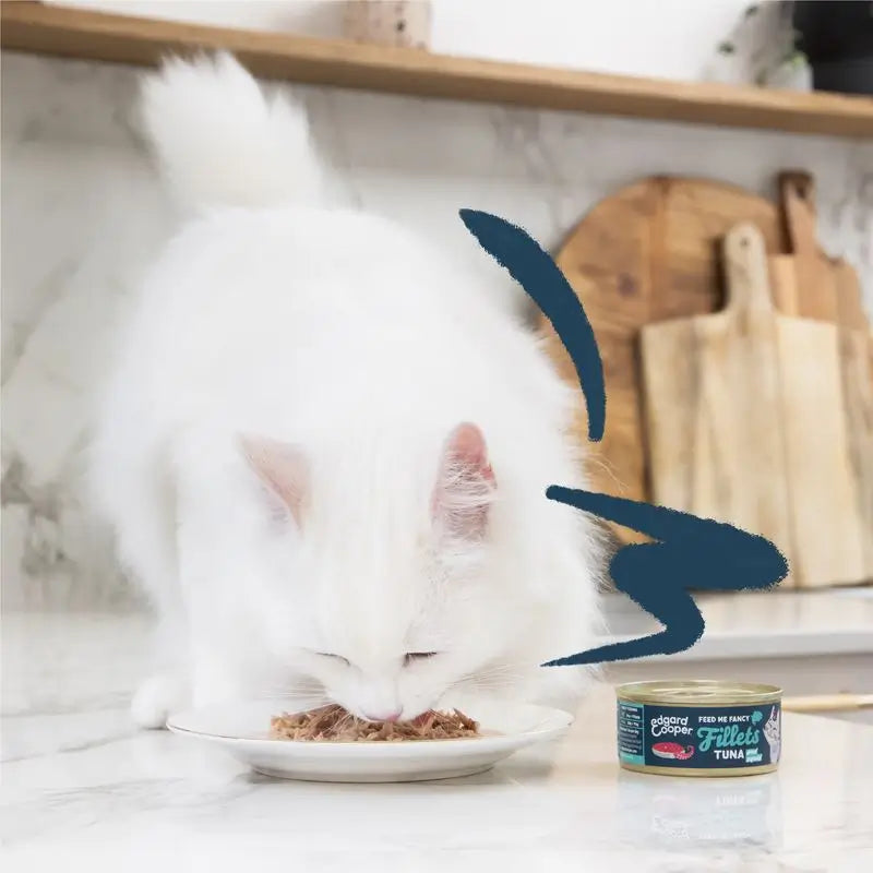 Edgard & Cooper Katzennassfutter 24x70g Thunfisch & Tintenfischfilets getreidefrei