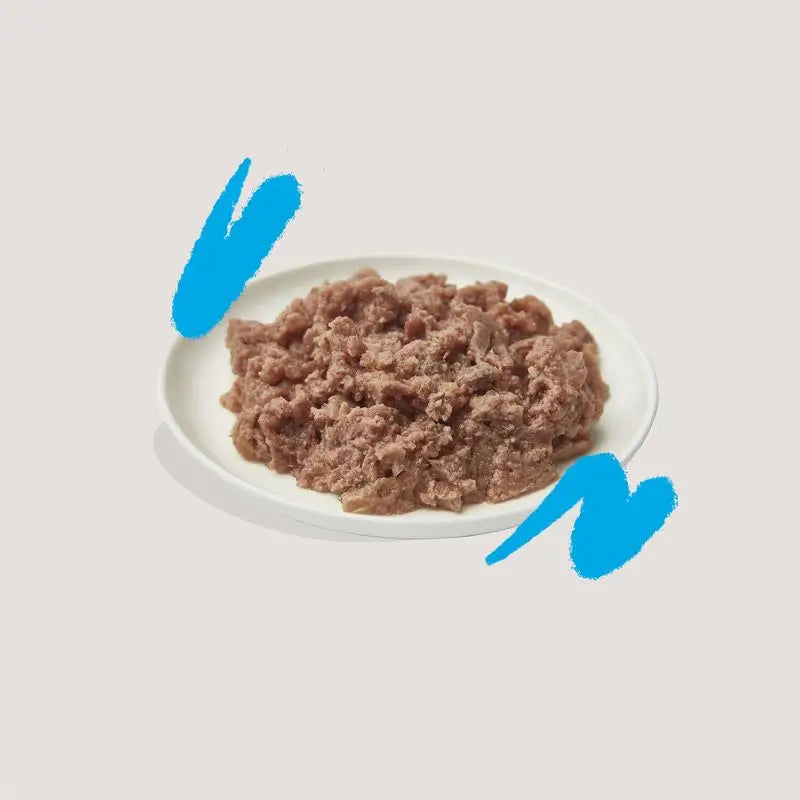 Edgard & Cooper Adult Nassfutter für Katzen 16x85g Lachs Msc