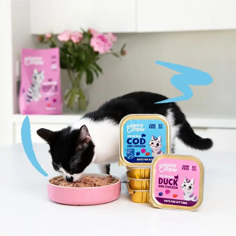 Edgard & Cooper Katzennassfutter Kitten 16x85g Zertifizierter Kabeljau Msc