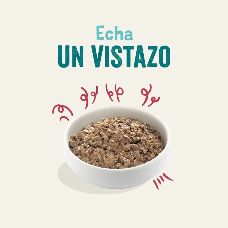 Edgard & Cooper Hundenassfutter 17x100g Bio-Rindfleisch