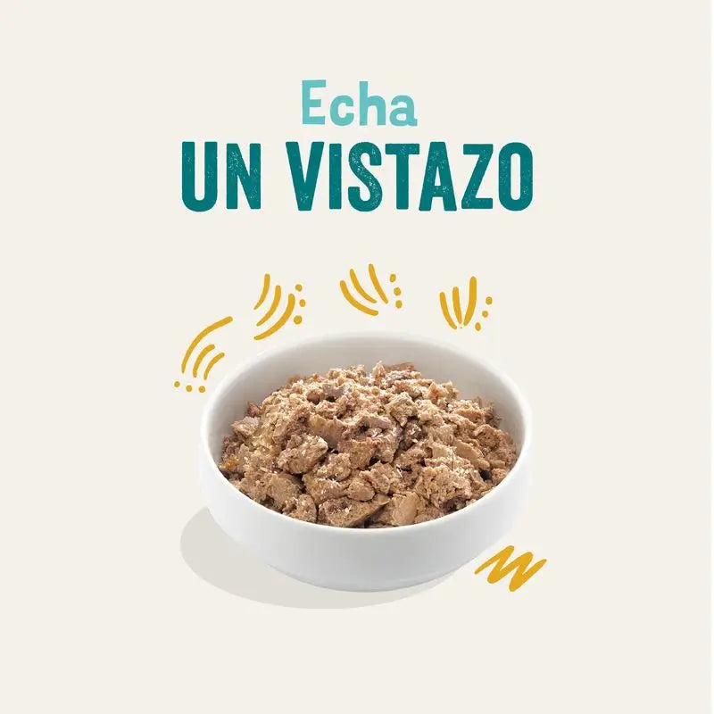 Edgard & Cooper Hundenassfutter 17x100g Bio-Pute