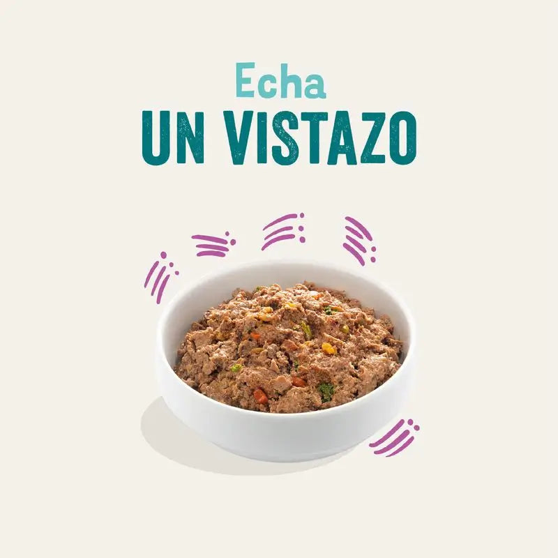 Edgard & Cooper Hundenassfutter 11x150g Wild & Ente Tiere