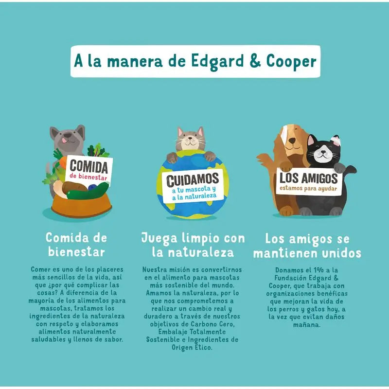 Edgard & Cooper Hundenassfutter 11x150g Lachs