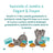 Edgard & Cooper Hundenassfutter 11x150g Lachs