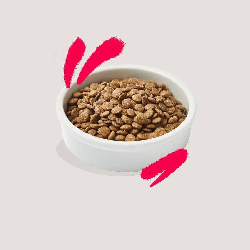 Edgard & Cooper Senior Katzenfutter 2kg Frisch vom Bauernhof Huhn
