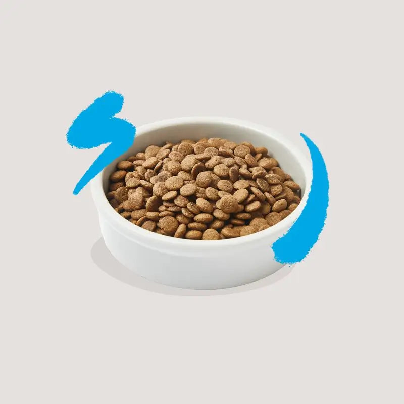 Edgard & Cooper Adult Katzenfutter 325g Frischer Atlantiklachs