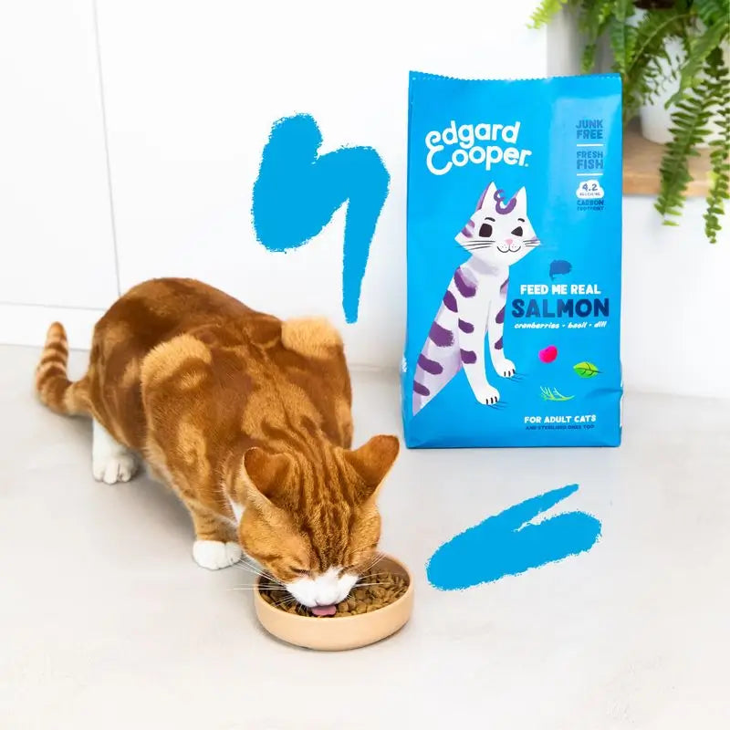 Edgard & Cooper Adult Katzenfutter 325g Frischer Atlantiklachs