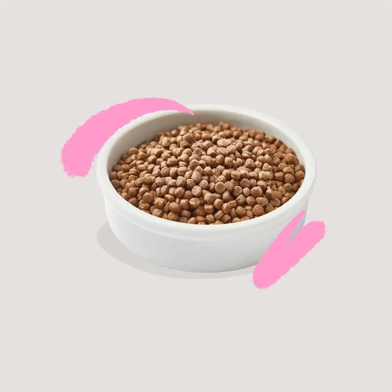 Edgard & Cooper Katzenfutter Kitten 325g Ente Frisch vom Bauernhof