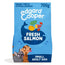 Edgard & Cooper Dog Adult Trocken Lachs S 700Gr