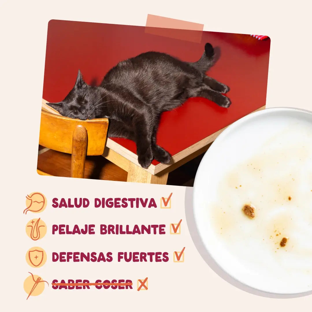 Edgard & Cooper „Festines De La Granja“ in Soße für ausgewachsene Hunde, Multipack, 12 x 85 g