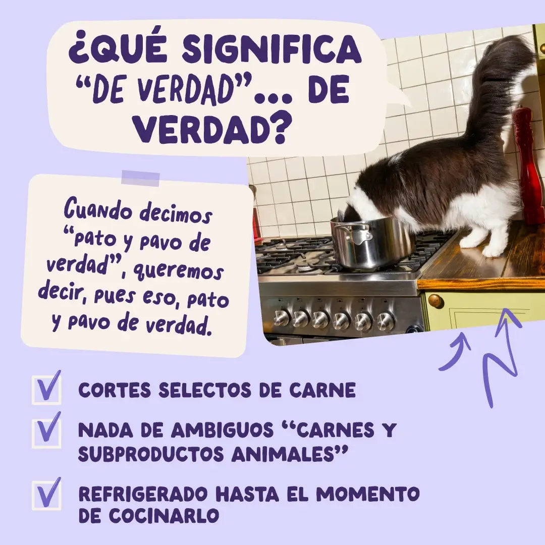 Edgard & Cooper Ente & Truthahn in Soße für ausgewachsene Hunde, 12 x 85 g
