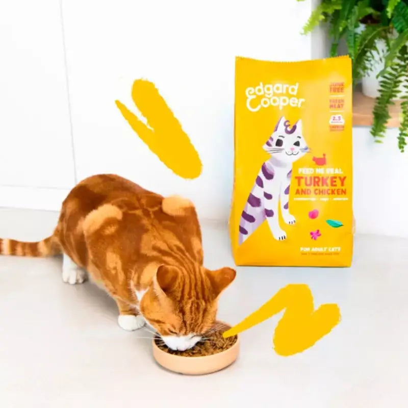 Edgard & Cooper Katzenfutter für ausgewachsene Katzen mit Truthahn und frischem Hähnchen, 2 kg