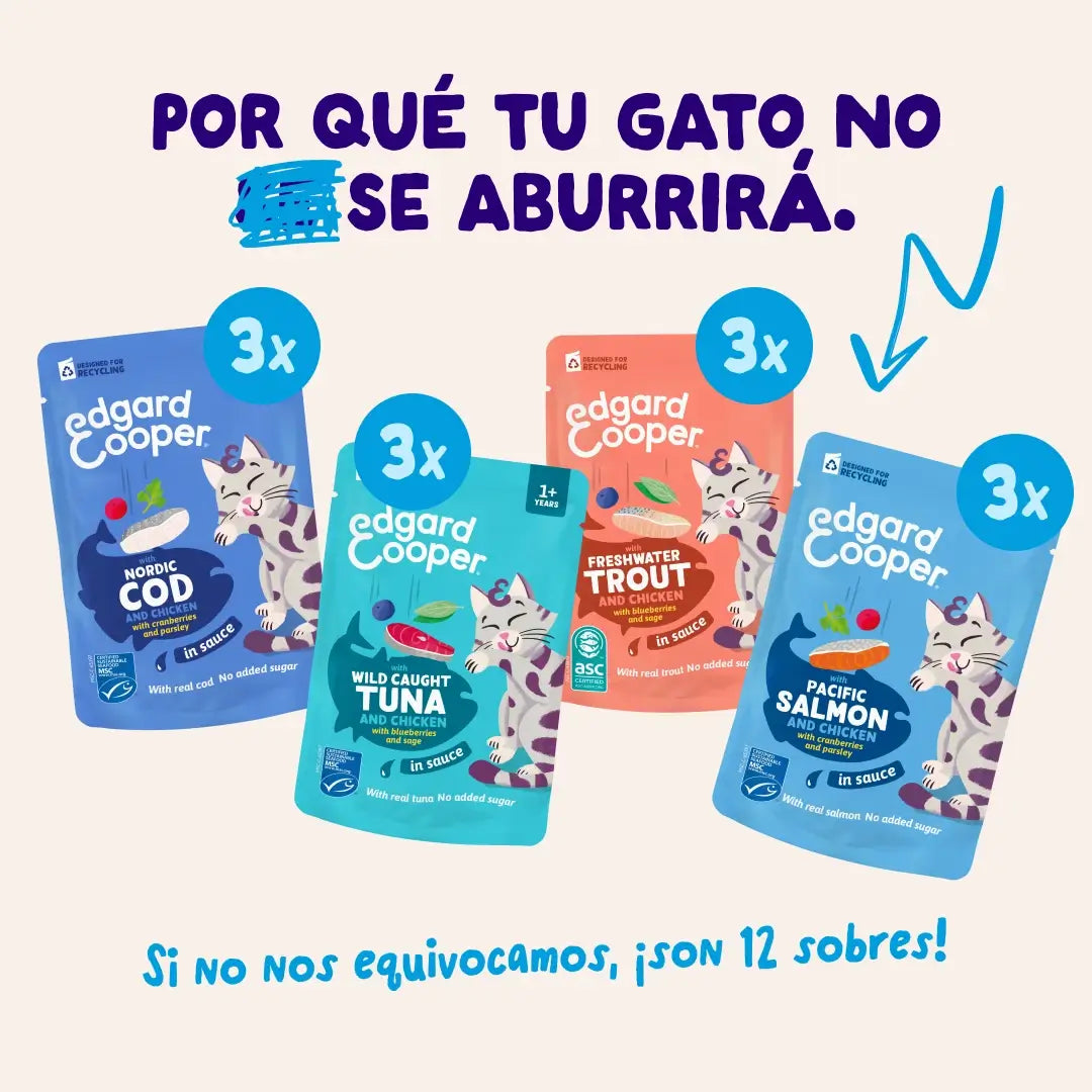 Edgard & Cooper „Selección Captura Del Día“ in Soße – Multipack für ausgewachsene Hunde, 12 x 85 g