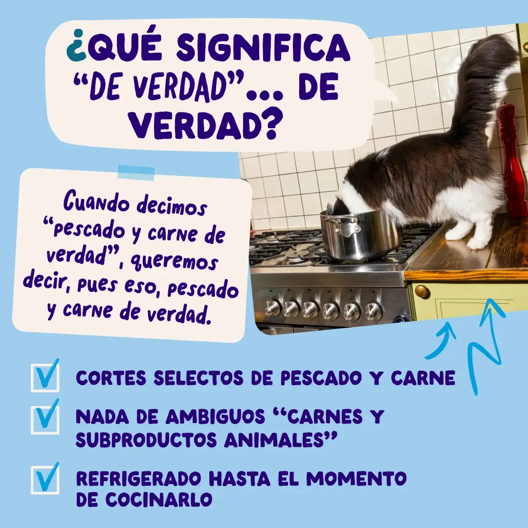 Edgard & Cooper „Selección Captura Del Día“ in Soße – Multipack für ausgewachsene Hunde, 12 x 85 g