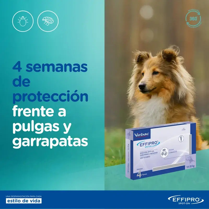 Effipro 134 Mg Spot-On Mittelgroße Hunde 10-20 kg, 24 Pipetten