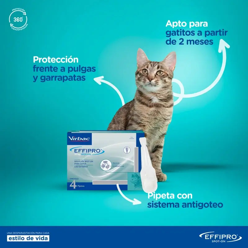 Effipro 50 Mg Spot-On Katzen, 4 Pipetten