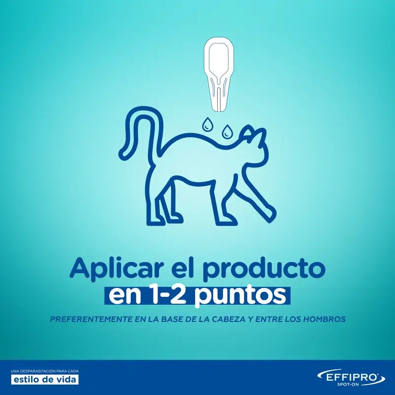 Effipro 50 Mg Spot-On Katzen, 4 Pipetten