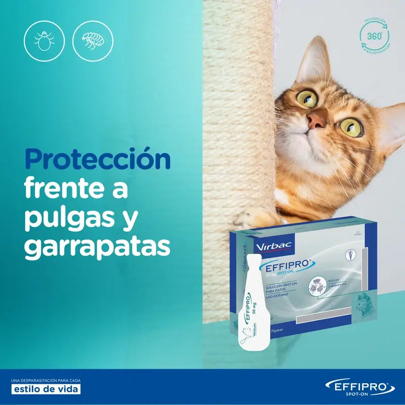 Effipro 50 Mg Spot-On Katzen, 4 Pipetten