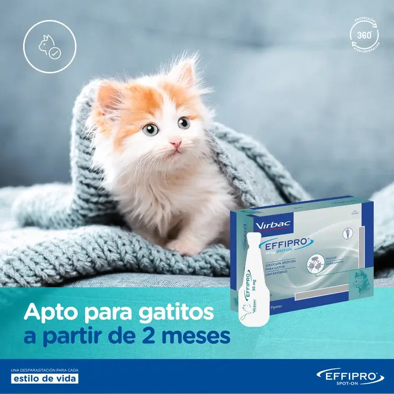 Effipro 50 Mg Spot-On Katzen, 4 Pipetten