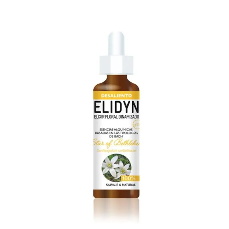 Elidyn Stern von Bethlehem 20Ml.