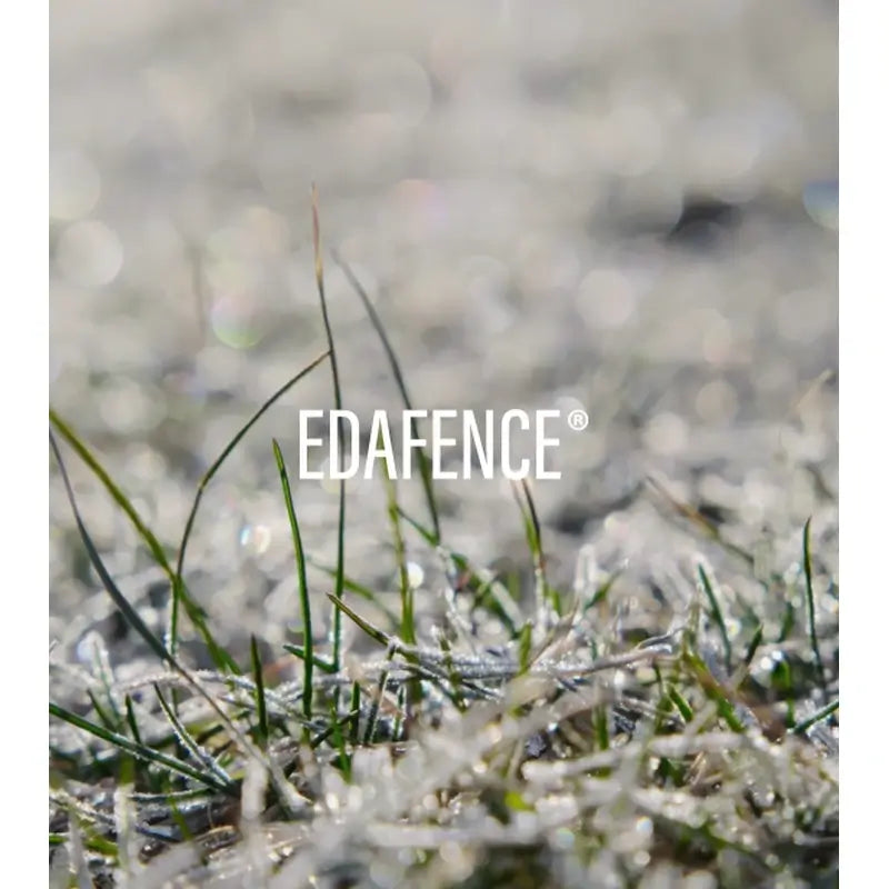 Endocare Hyaluboost Altersbarriere-Serum , 30 ml