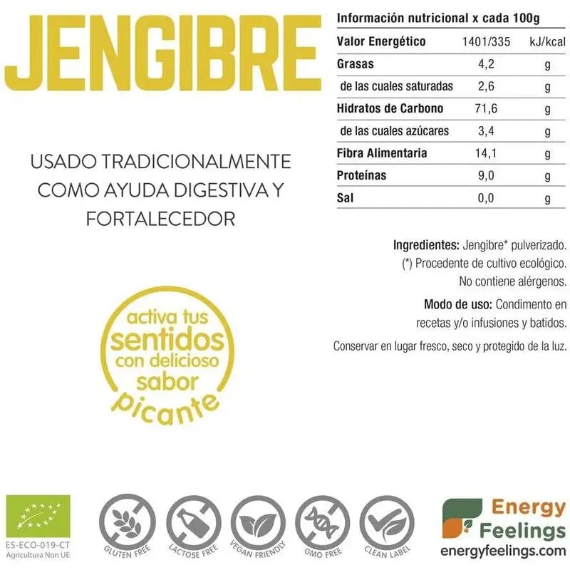 Energy Feelings Ingwer-Pulver 1Kg. Öko-Veganer Sg