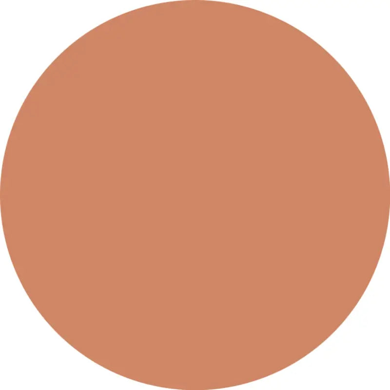 Essence CC Coverstick Concealer-Stift 40, 6 g