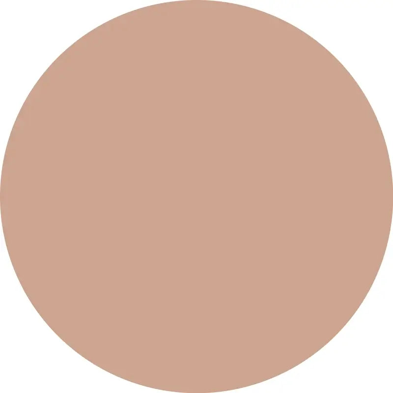 Essence Abdeckstift Camouflage+ Matt 160 , 8 ml
