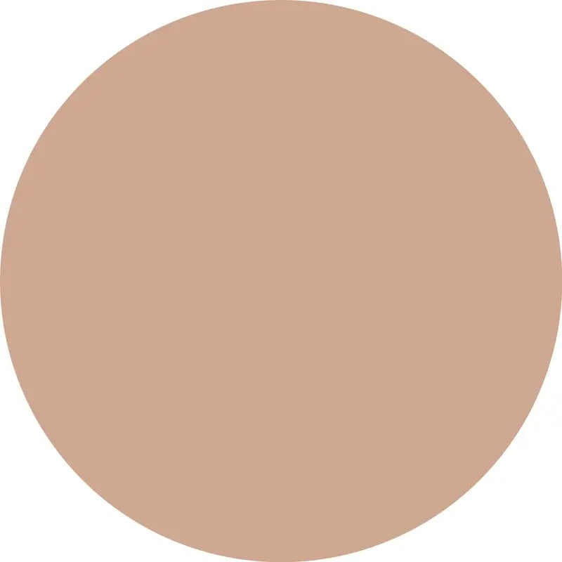 Essence Abdeckstift Camouflage+ Matt 90 , 8 ml