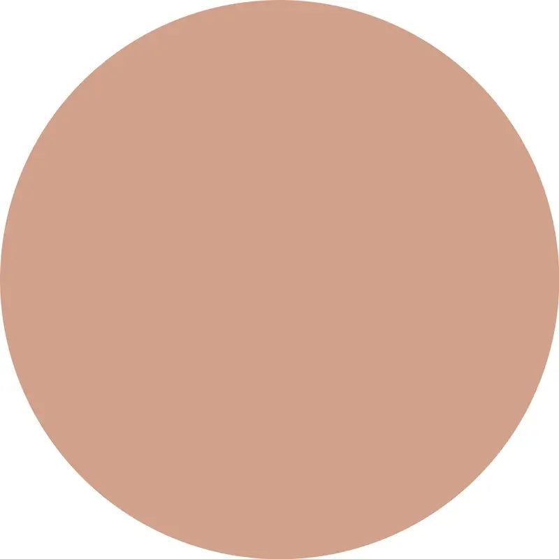 Essence Camouflage+ Matte Corrector 150, 8 ml