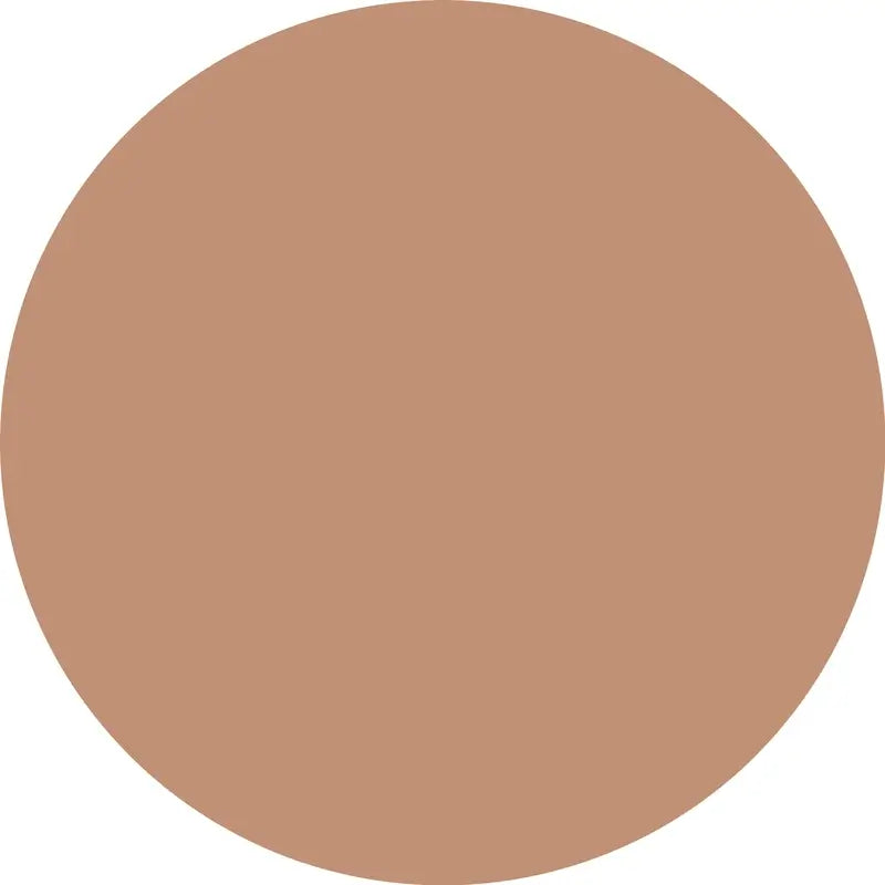Essence Abdeckstift Camouflage+ Matte 170, 8 ml