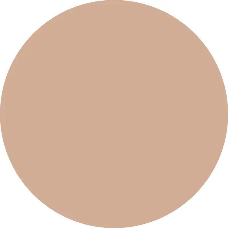 Essence Camouflage+ Mattierender Abdeckstift 50, 8 ml