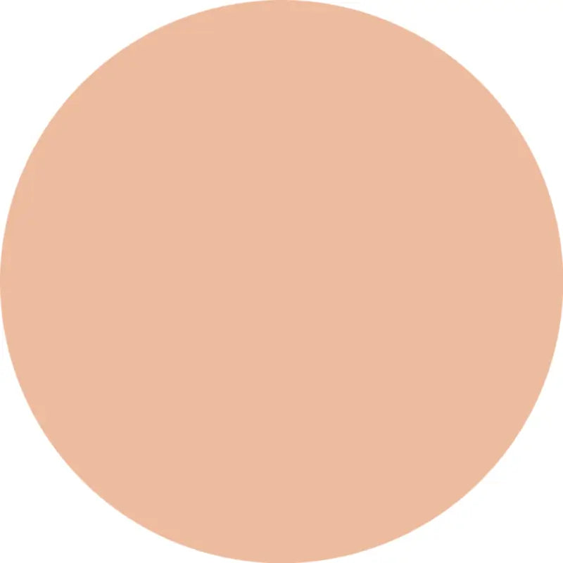 Essence Silky Cushion Foundation, 100, 12 g