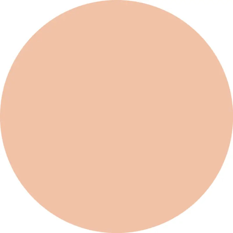 Essence Silky Cushion Foundation 110, 12 g