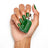 Essie Vao Nail 1004 Seize Grüner Schimmer , 13,5 ml