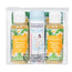Evoluderm Reise-Set X3 - Duschgel-Reinwasser-Shampoo, 100/50/100 ml