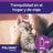 Ceva Feliway Anti-Stress-Spray 60 ml