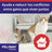 Ceva Feliway Friends Diffusor + Nachfüllung 48 ml