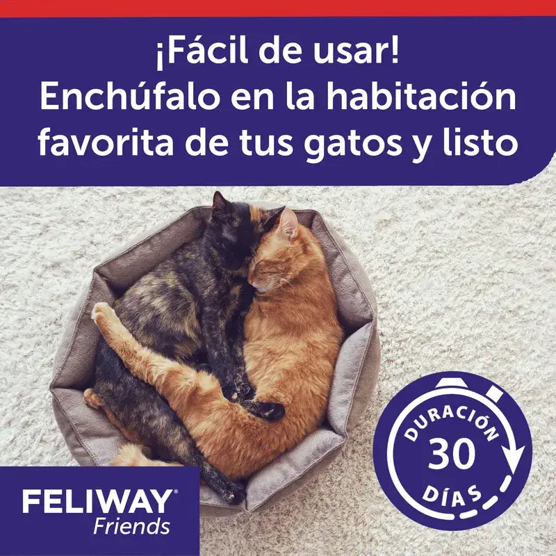 Ceva Feliway Friends Diffusor + Nachfüllung 48 ml
