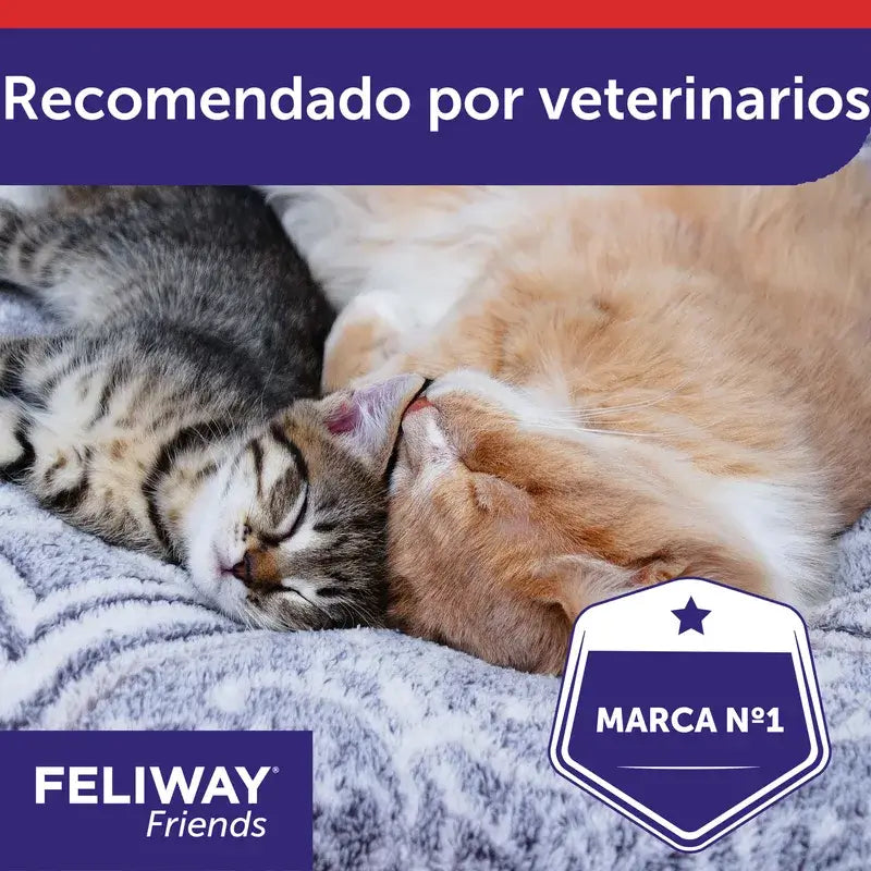 Ceva Feliway Friends Nachfüllpackung 48 ml