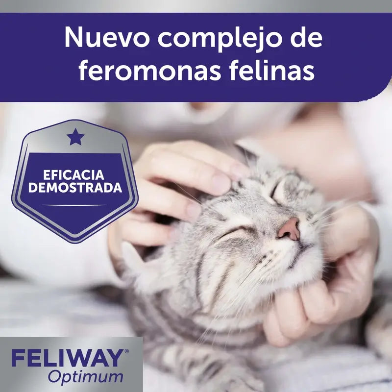 Feliway Optimum Nachfüllpackung 48 ml