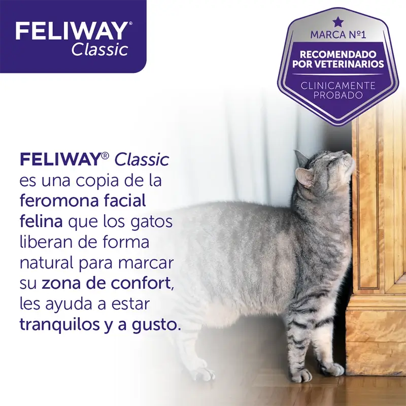 Ceva Feliway Anti-Stress Nachfüllpackung 48 ml