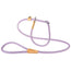 Ferplast Correa Derby Gc12 170 Guinzaglio Viola
