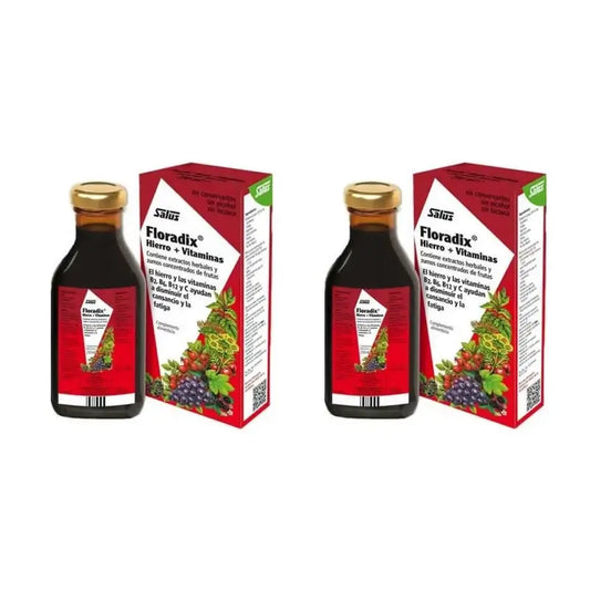 Floradix Floradix Eisen + Vitamine, Packung mit 2X500 ml